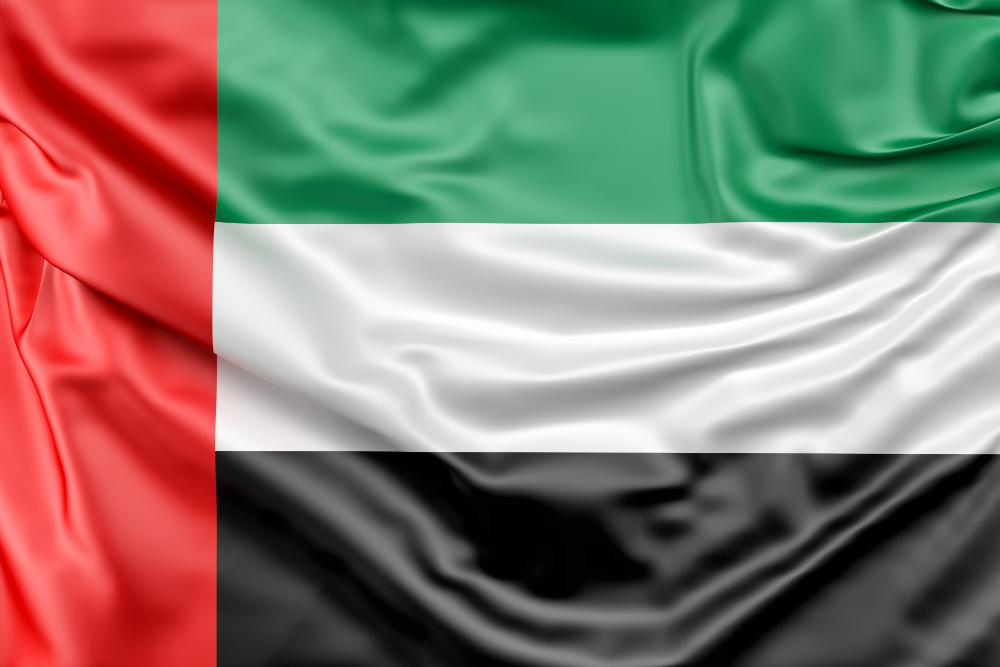 UAE Location Icon