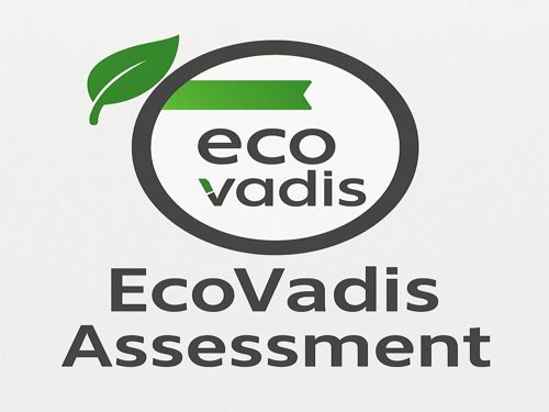 EcoVadis assessment